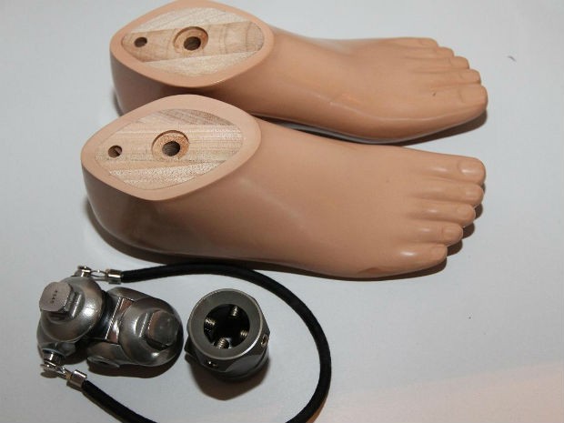 O valor total estimado das próteses é de R$ 13 mil (Foto: Receita Federal/Divulgação)