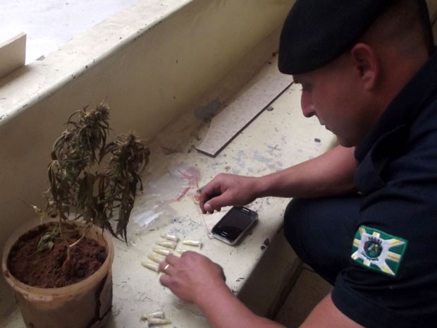 Guarda apreendeu pé de maconha, dinheiro e pinos de cocaína em Valinhos (Foto: Sidney Aureliano/ Divulgação GCM Valinhos)