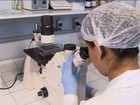 Teste desenvolvido por universidades permite detectar zika em cinco horas