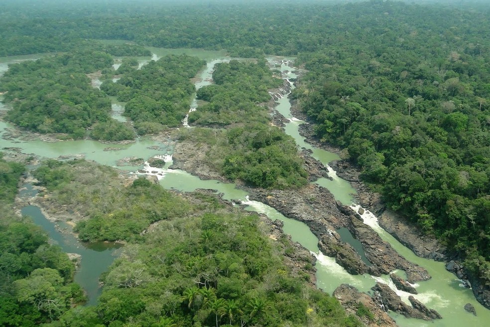 Floresta nacional do Jamanxim (Foto: Reprodução)