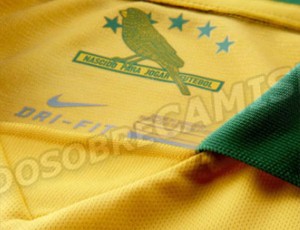 canarinho camisa seleção brasileira (Foto: Reprodução)