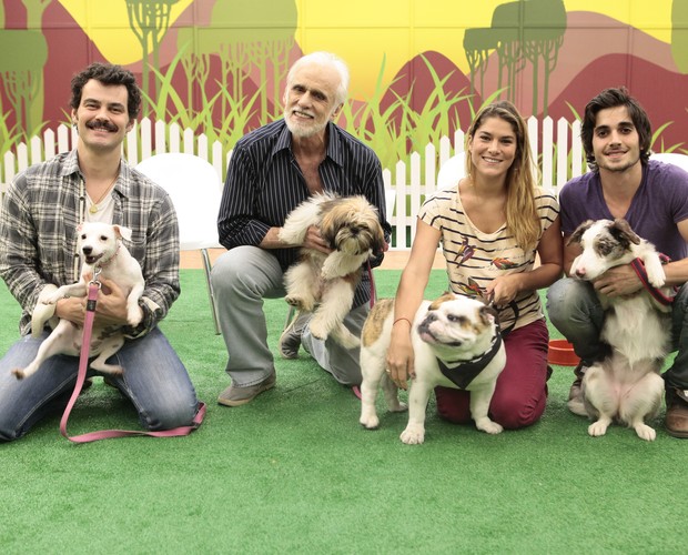 Veja os famosos que vão participar do Cachorrada VIP (Foto: Domingão do Faustão / TV Globo)