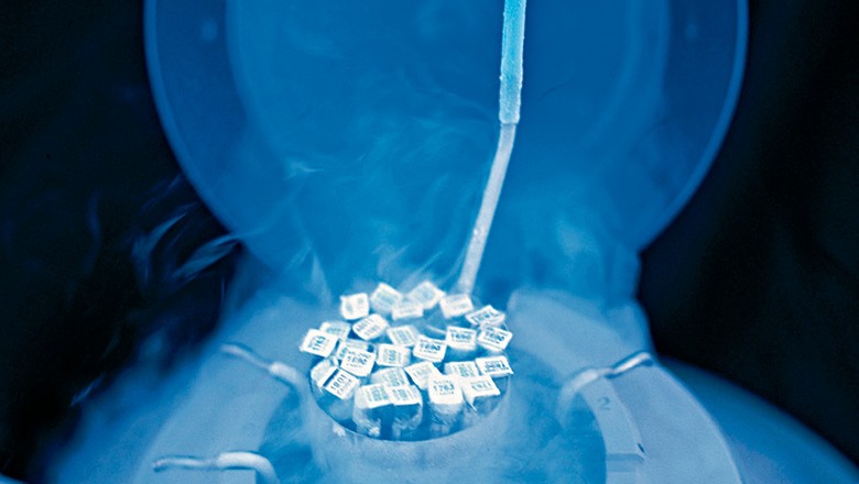 Botijão acondiciona ampolas de sêmen para inseminação artificial de gado (Foto: divulgação)