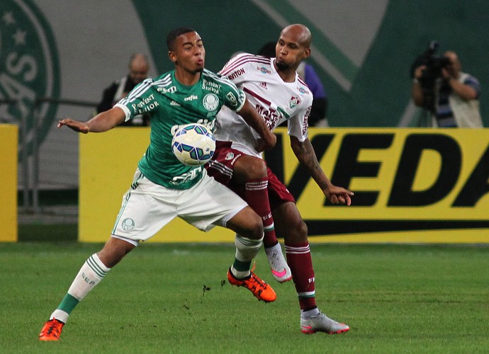 Wellington Silva e Gabriel Jesus - Palmeiras x Fluminense (Foto: Nelson Perez / Fluminense F.C.)