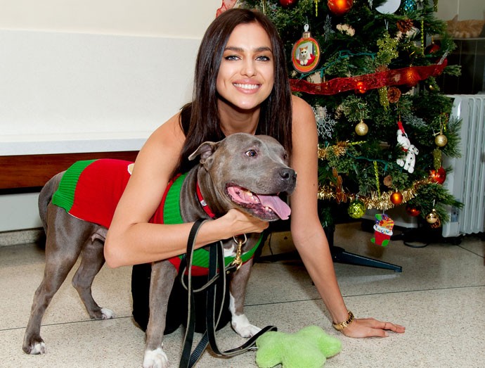 Irina Shayk namorada Cristiano Ronaldo centro de doações de animais (Foto: Splash News)