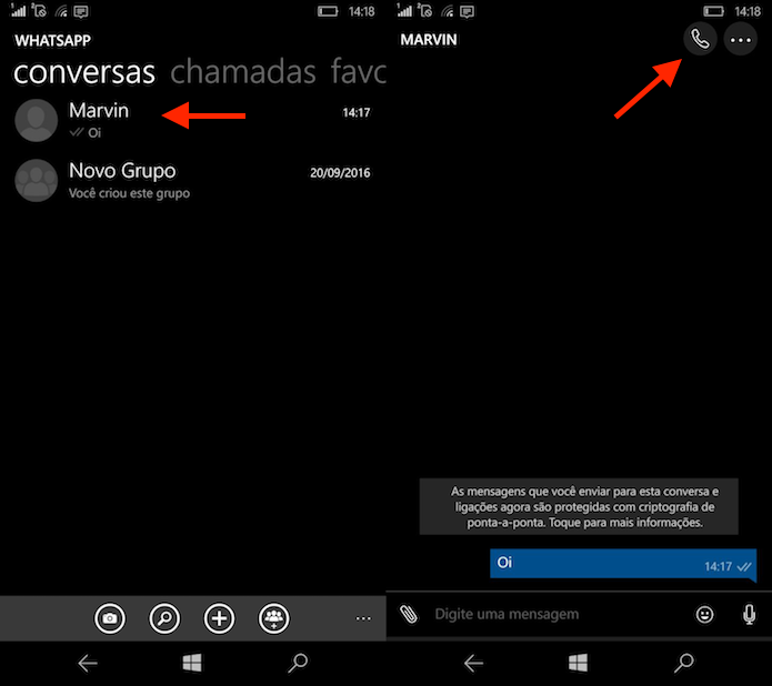 Opções de chamada do WhatsApp para Windows Phone (Foto: Reprodução/Marvin Costa)