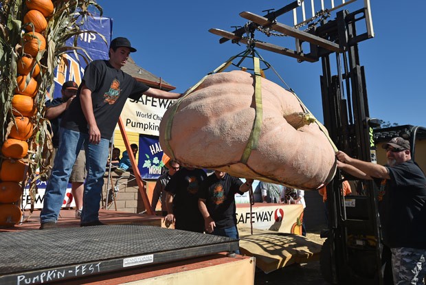 Concurso está sendo realizado em Half Moon Bay, no estado da Califórnia (Foto: Josh Edelson/AFP)