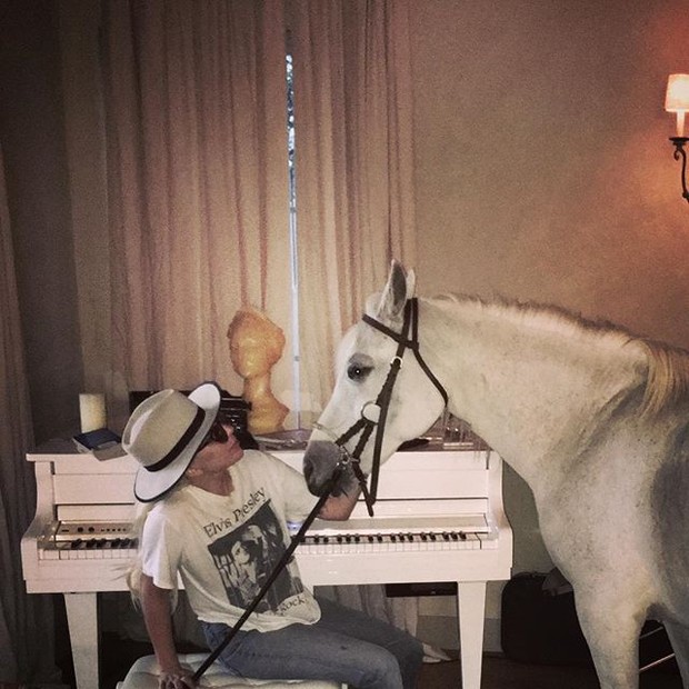 Lady Gaga com égua em cômodo de música (Foto: Reprodução/Instagram)
