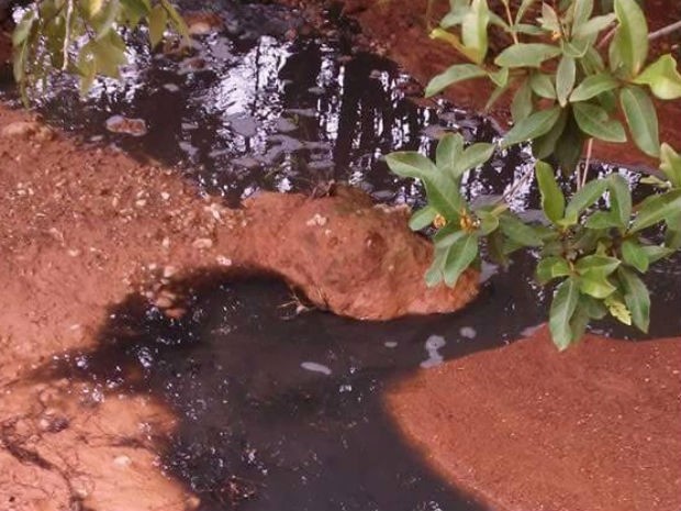 Córreo corre risco de contaminação após ser atingido pelo chorume (Foto: Reprodução / Inter TV)