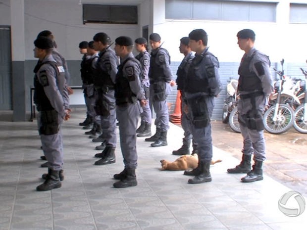 Cadela Perninha tira cochilo durante formação na Rotam. (Foto: Reprodução/TVCA)