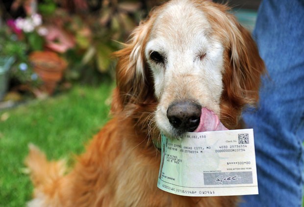 Cão Sundance com o cheque do reembolso feito pelo departamento de tesouro (Foto: Eliza Wiley/The Independent Record/AP)