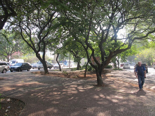 Suspeito deixou carroça presa em praça na região da Liberdade (Foto: Paulo Toledo Piza/G1)