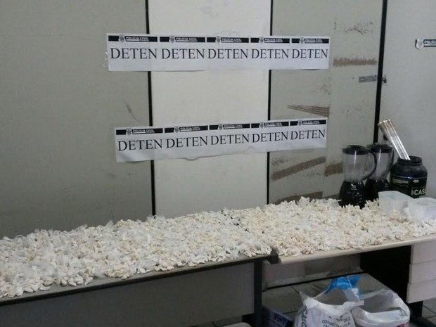 Papelotes de cocaína foram apreendidos (Foto: Divulgação/ Polícia Civil)