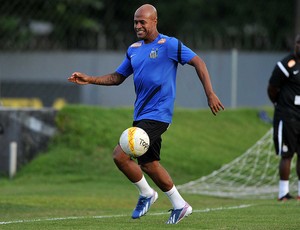 Marcos Assunção (Foto: Ivan Storti / Divulgação Santos FC)