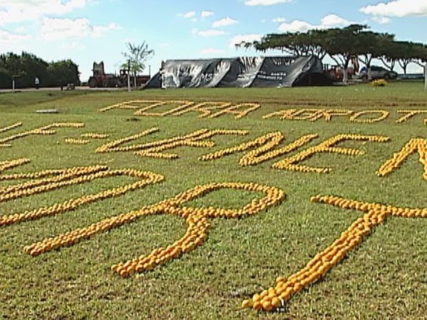 Integrantes do MST usaram laranjas para escrever mensagens contra o uso de agrotóxicos  (Foto: reprodução/TV Tem)