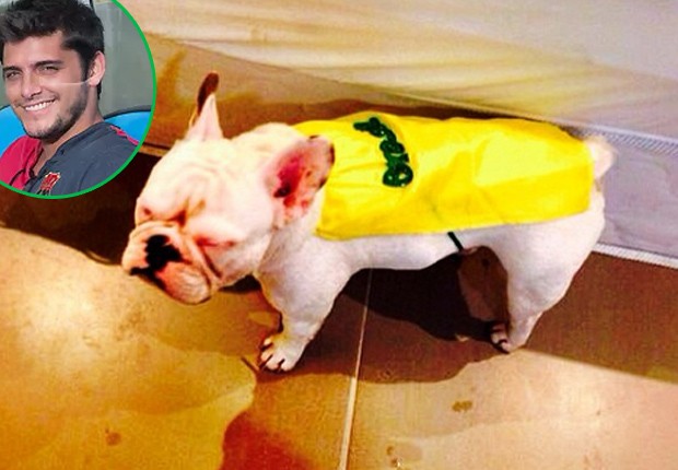 Bruno Gissoni vestiu seu cãozinho com roupa verde e amarela (Foto: Reprodução/Instagram)