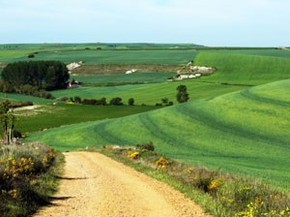 Confira 10 Dicas Para Percorrer O Caminho De Santiago De Compostela Turismo E Viagem G1