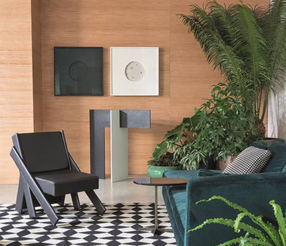 Aproveite as plantas que voc&ecirc; tem em casa para dar o toque verde na decora&ccedil;&atilde;o (Foto: Divulga&ccedil;&atilde;o)