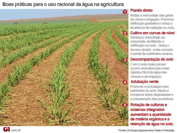 Arte de Boas Práticas na Agricultura para racionalizar o uso da água (Foto: Anderson Viegas/Do Agrodebate)