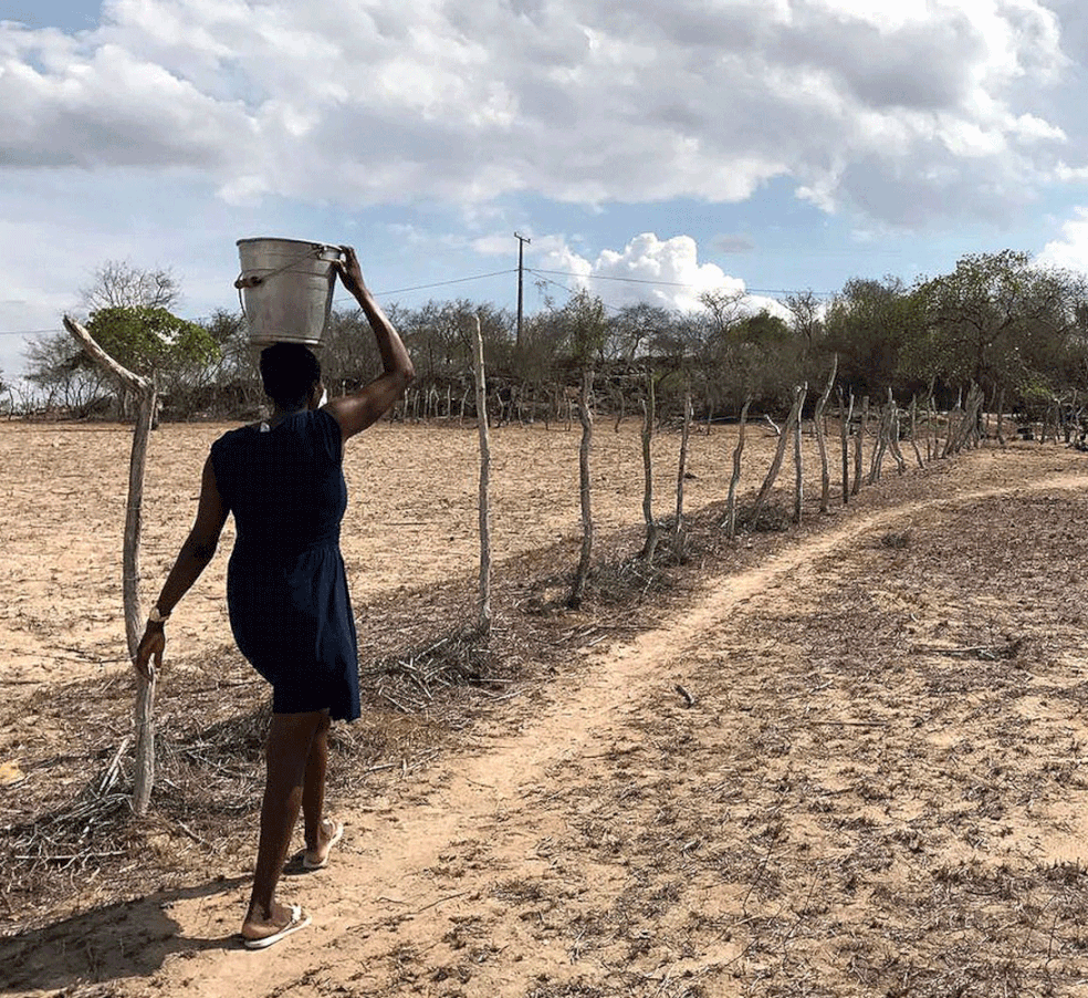  Nordeste enfrenta seca de cinco anos; moradores enfrentam perda de safra e mortes de animais (Foto: Alan Tiago Alves/G1)