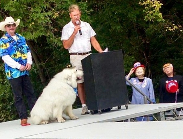 Duke, de 9 anos, da raça cão dos pirineus, se tornou o primeiro prefeito honorário da cidade de Comrorant (Foto: Deb Rick/AP)