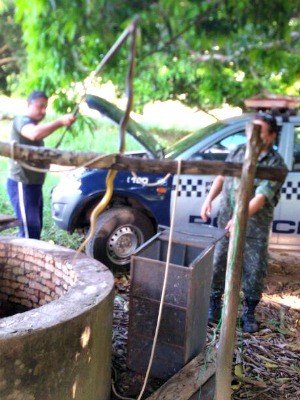 Cobras foram retiradas de poço pela Polícia Ambiental (Foto: Amanda Muller/Arquivo Pessoal)