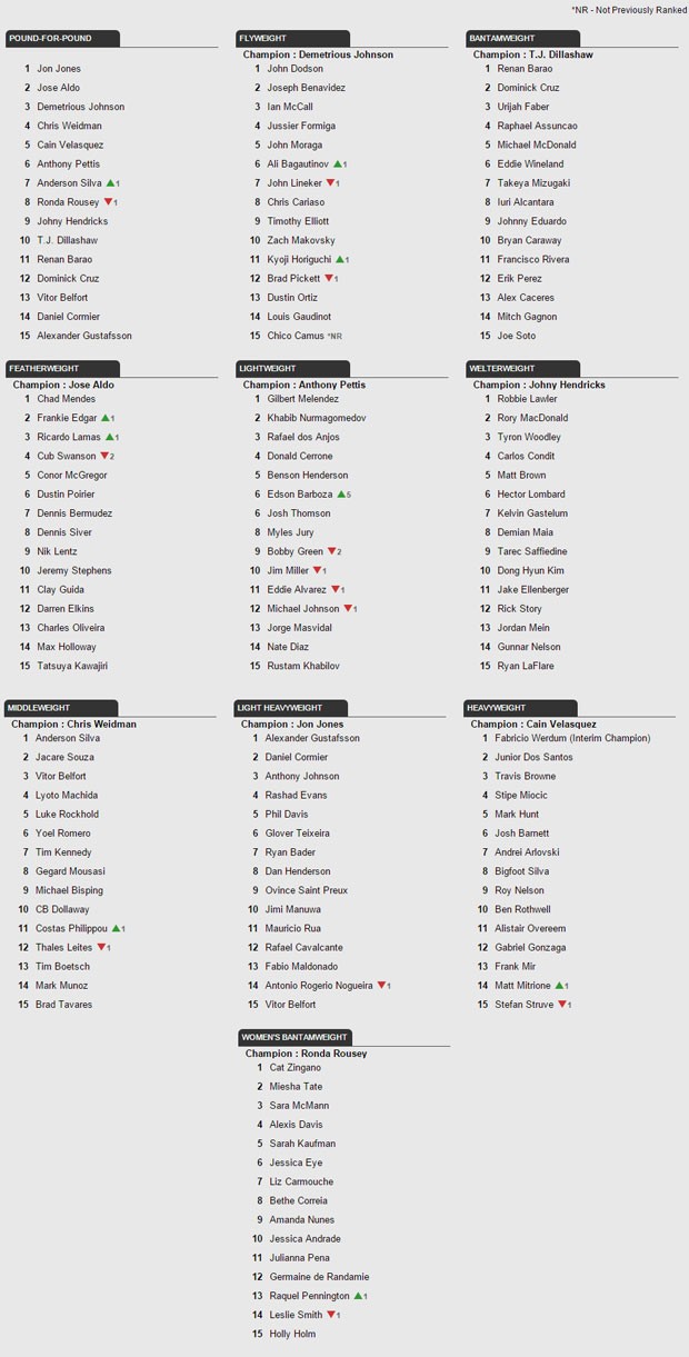 Ranking UFC 24/11 (Foto: Reprodução)