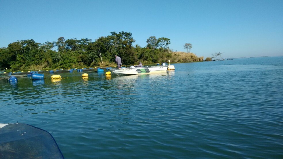 Polícia Militar Ambiental surpreendeu os pescadores no Rio Paraná, em Presidente Epitácio (Foto: Polícia Militar/Cedida)