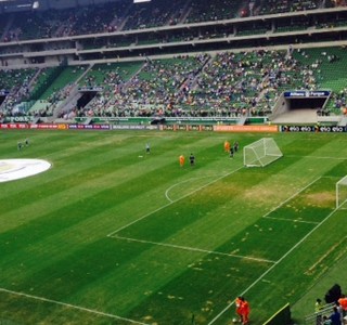 Dívida de 200 mil reais diminuiu os cuidados com o gramado do Palmeiras