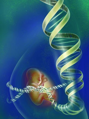 Teste genético durante a gravidez pode antecipar tratamento de doenças (Foto: Layla Lang)