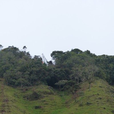 Asa de avião da LaMia que se chocou contra montanha se destaca em meio à mata densa (Foto: Vicente Seda)