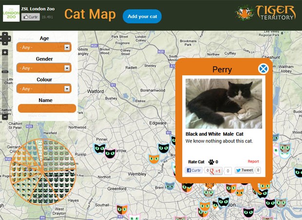 'Cat Map' permite aos donos de gatos apontarem onde seus animais vivem e compartilhar fotos deles (Foto: Reprodução)