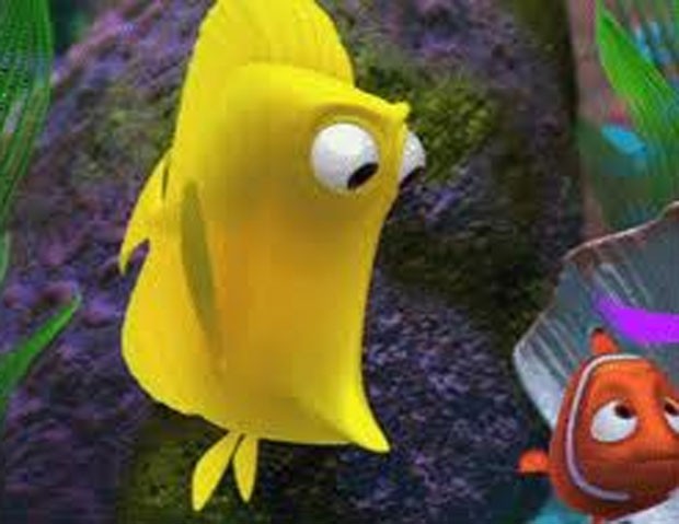 Foto do zoo lembra uma cena do filme de animação 'Procurando Nemo'. (Foto: Reprodução)
