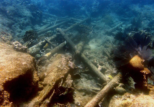 Mergulhador observa destroços de navio HMS Forth encontrados no fundo do mar (Foto: Divulgação/Helena Barba/INAH)