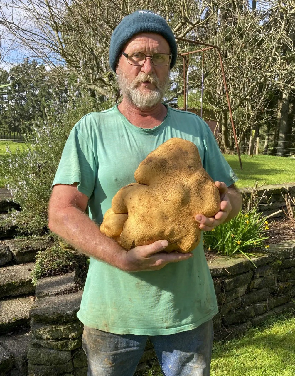 produtor-batata-gigante (Foto: Freshplaza)