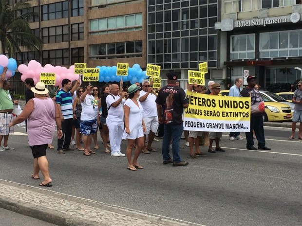 Marcha do Orgulho Hétero reúne poucas pessoas na Zona Sul do Rio (Foto: Eduardo Vallim/G1)