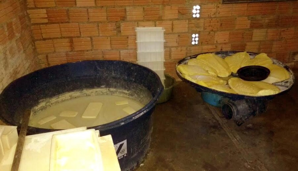 Latcínio possuía más condições de armazenamento e higiene (Foto: Divulgação/ Adapec)