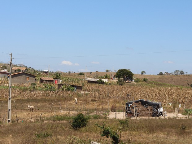 Famílias descendentes de escravos tiveram área reconhecida como comunidade quilombola em 2008 (Foto: Marcio Chagas/G1)