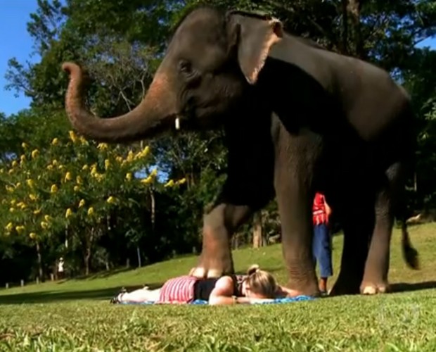 Kika recebe massagem de elefante de 1.000 kilos (Foto: Tv Globo)