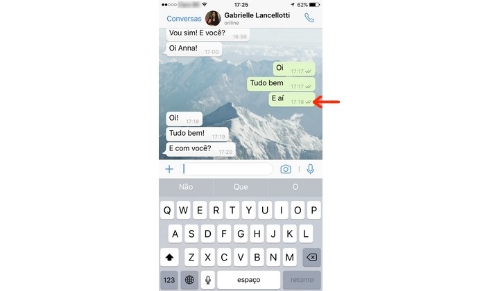 Conversa do WhatsApp com confirmação de leitura desativada no app para iPhone (Foto: Reprodução/Anna Kellen Bull)