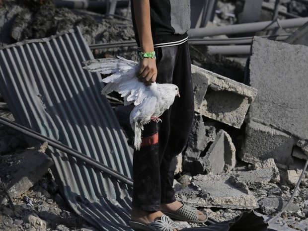 2/8 - Menino palestino segura pássaro encontrado ferido nos escombros de uma casa, destruída em ataque israelense durante a noite, no norte da Faixa de Gaza  (Foto: Lefteris Pitarakis/AP)