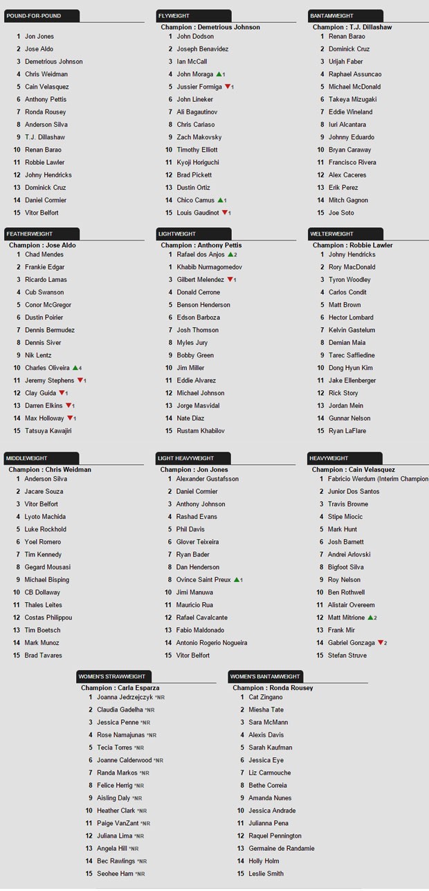 Ranking UFC 15/12 (Foto: Reprodução)