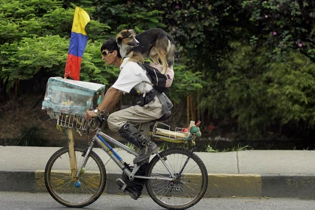 Em 2010, um homem foi flagrado em Cali, na Colômbia, carregando seu cão de estimação nas costas enquanto andava de bicicleta (Foto: Christian Escobar Mora/AP)