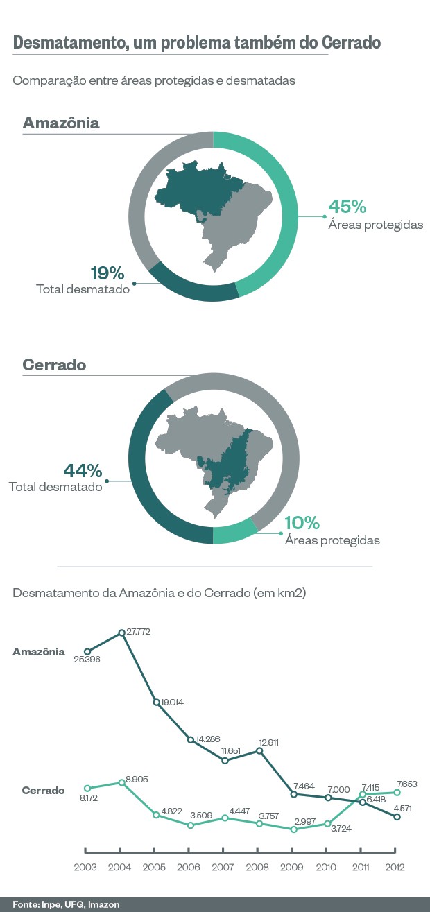 Desmatamento no Cerrado (Foto: Giovana Tarakdjian/ÉPOCA)