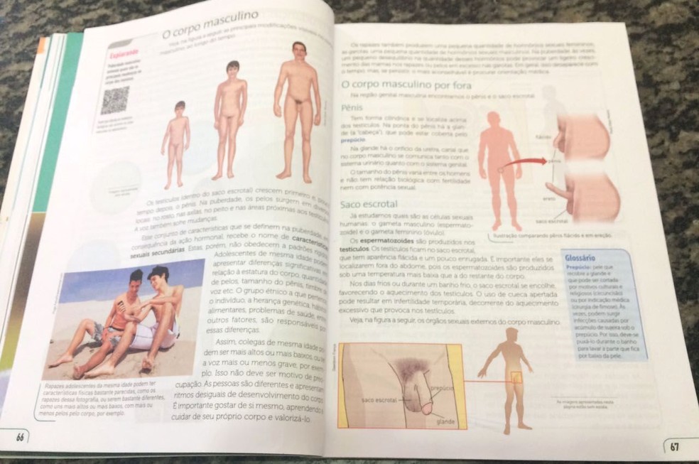 Livro de ciências que pais querem vetar tem ilustrações de pênis, em Ji-Paraná (Foto: Pâmela Fernandes/G1)