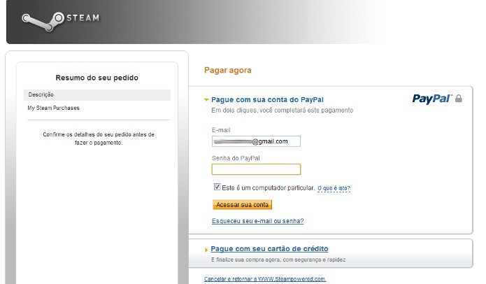 O próprio aplicativo da Steam irá abrir o site do Paypal para você entrar com os seus dados e concluir a operação (Foto: Reprodução / Dario Coutinho)