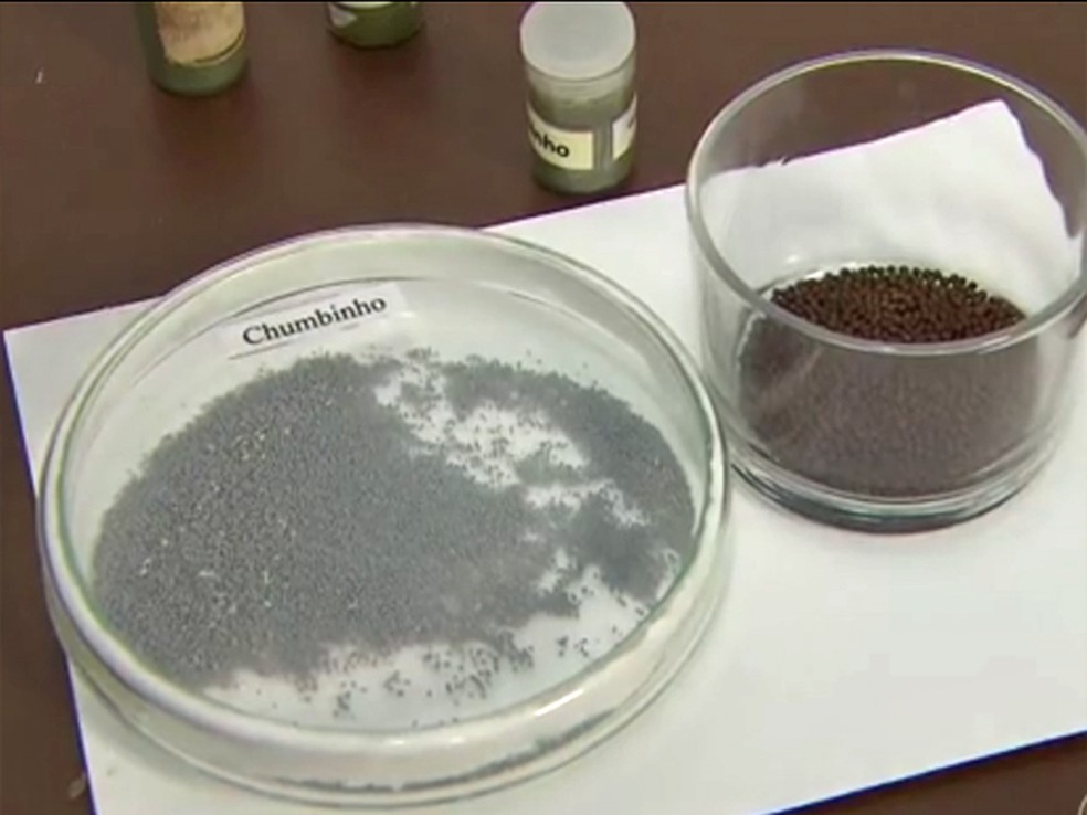 Aparência do chumbinho lembra granulado de chocolate (Foto: Reprodução/TV Globo)