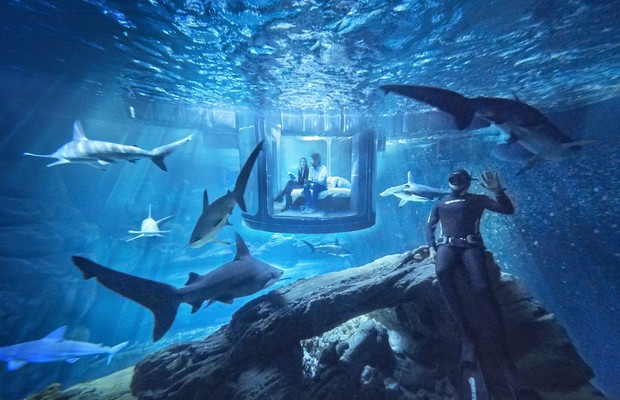 Quarto submerso do Aribnb fica no meio de um tanque de tubarões (Foto: airbnb.com)