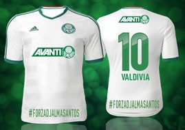 Camisa Palmeiras Djalma Santos (Foto: divulgação)
