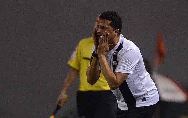Técnico Claudinei Oliveira, Santos e Botafogo (Foto: Ivan Storti / Santos FC)